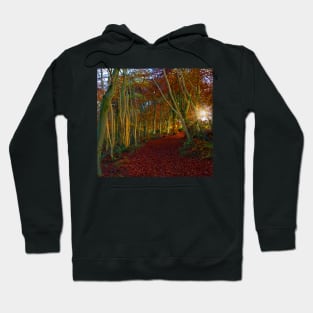 Sunrise, Westridge Woods on the Cotswold Way Hoodie